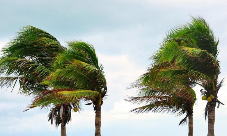 نشرة انذارية .. رياح قوية ستهم مختلف أقاليم المملكة