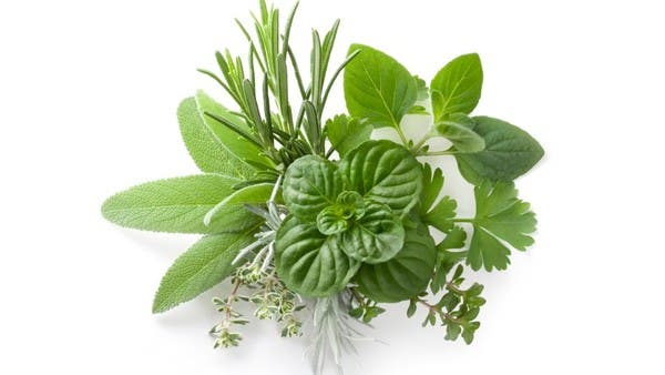 نبات شهير يحميك من الزهايمر والخرف