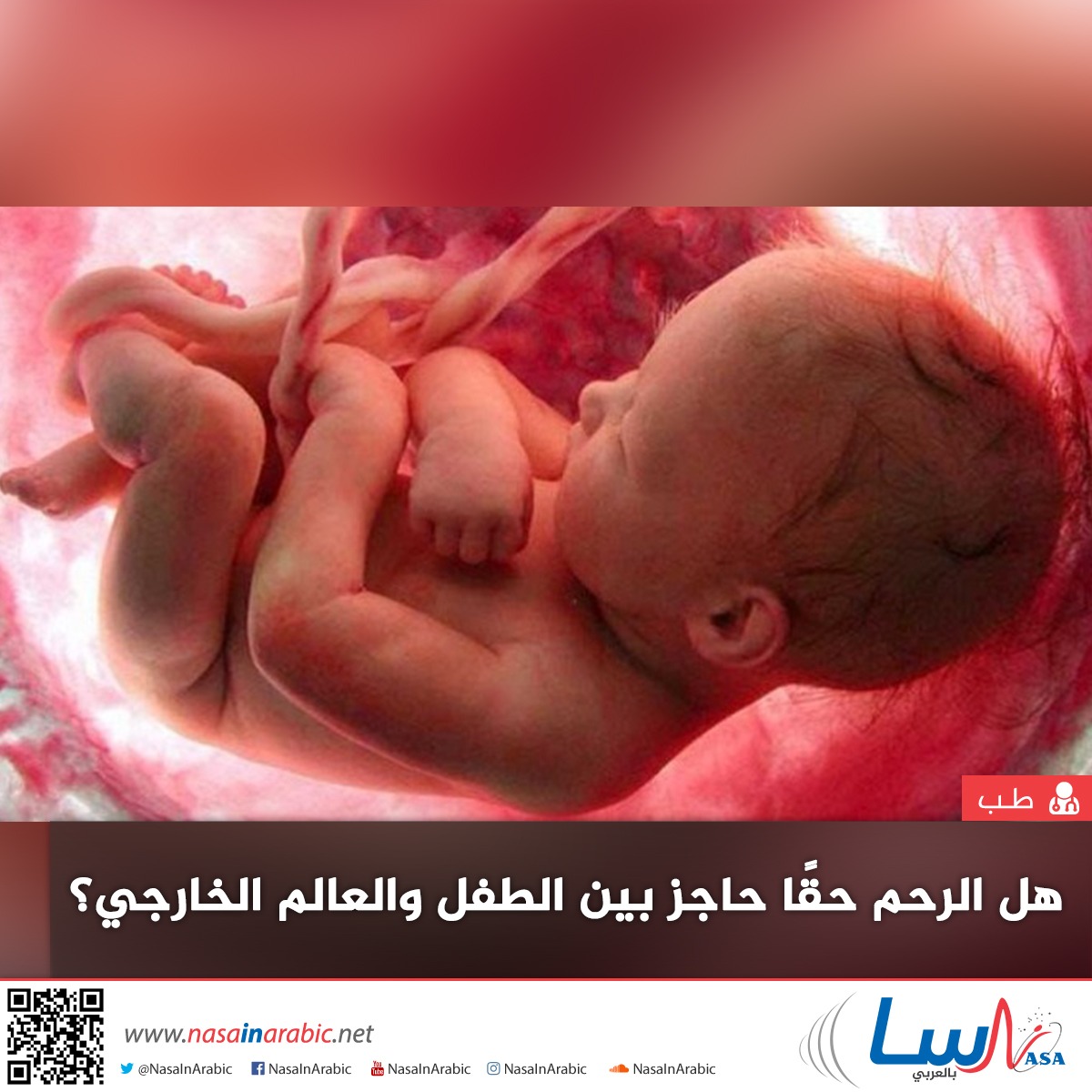 هل الرحم حقا حاجز بين الطفل والعالم الخارجي؟