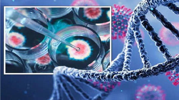 تلميحات من خبراء بأن أوميكرون ليس خطيراً كما يشيعون