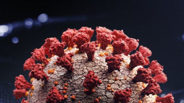 فيروس كورونا: سلالة جديدة شديدة التحور من الفيروس في جنوب أفريقيا تثير الكثير من المخاوف