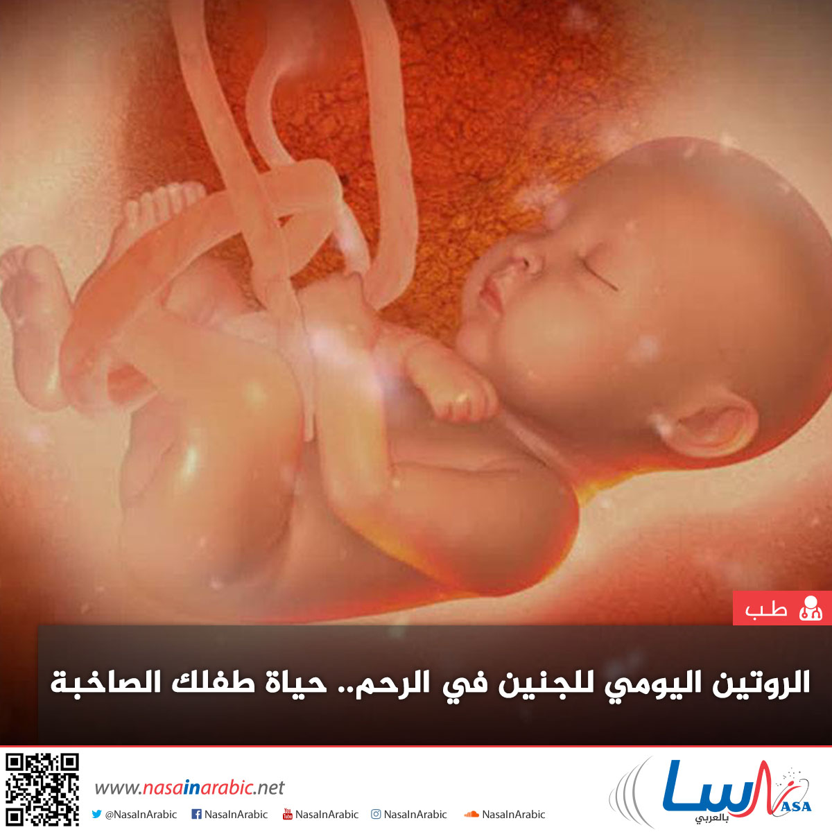 الروتين اليومي للجنين في الرحم.. حياة طفلك الصاخبة!