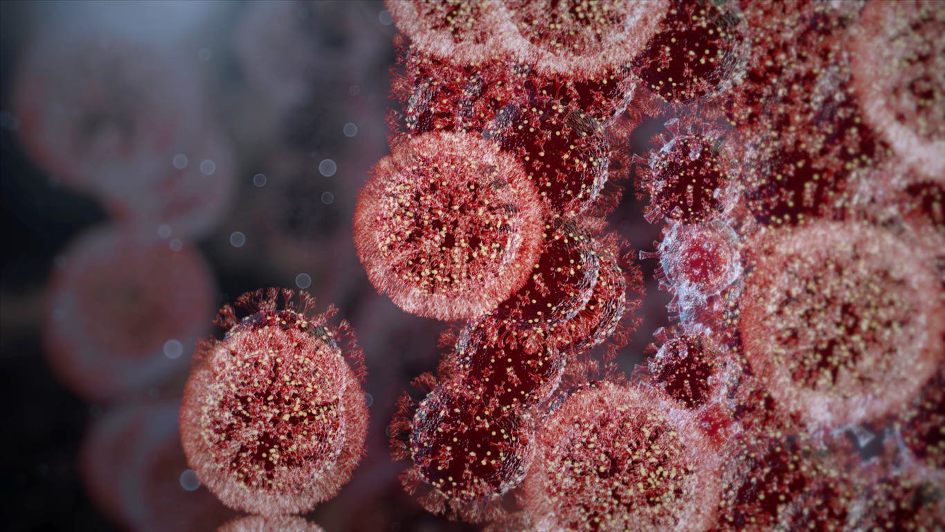 الصحة العالمية تكشف سبب الزيادة الحادة بإصابات أوميكرون