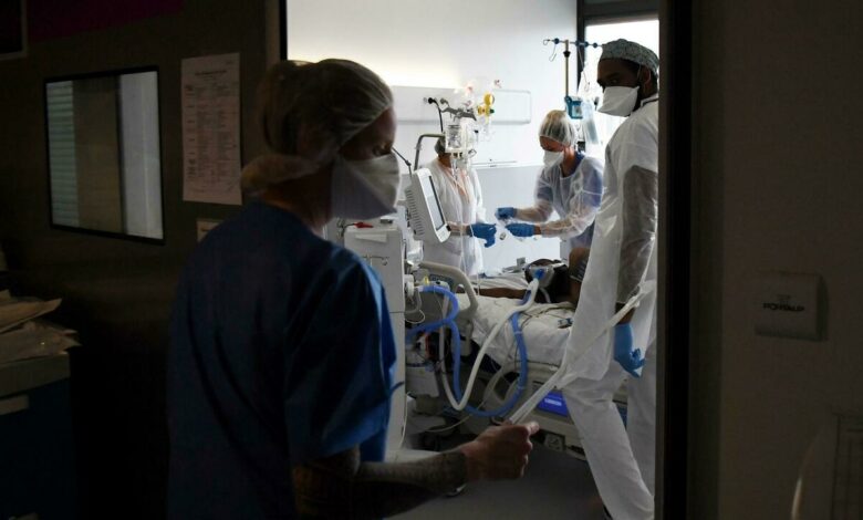 سلالة جديدة من كورونا تظهر في فرنسا