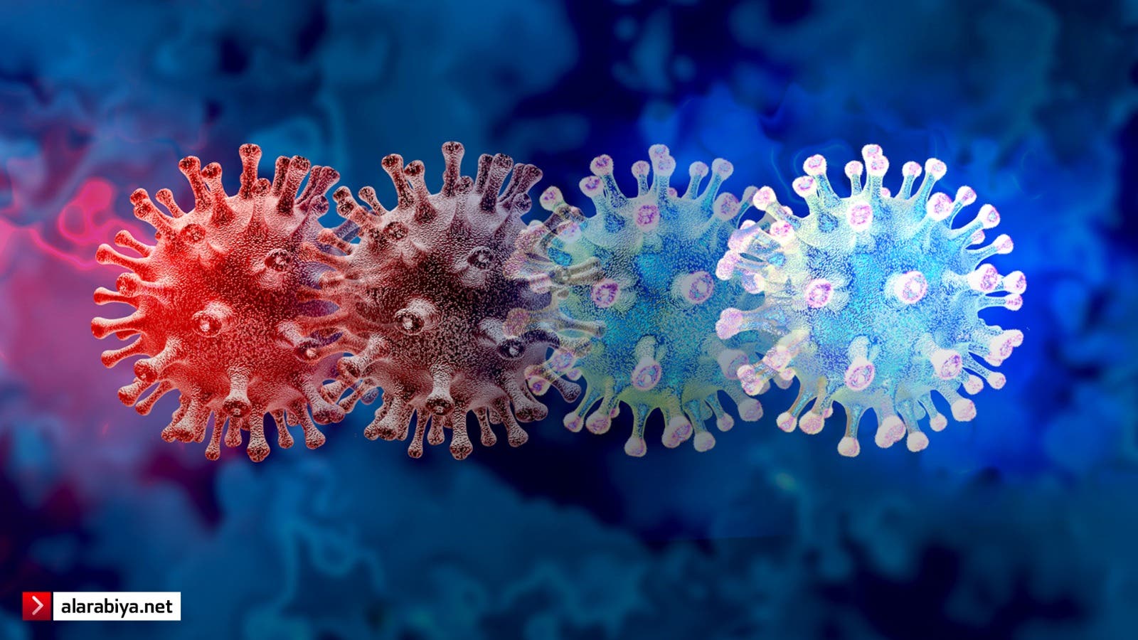 هل يجب التخلص من فرشاة أسنانك بعد تعافيك من كورونا؟