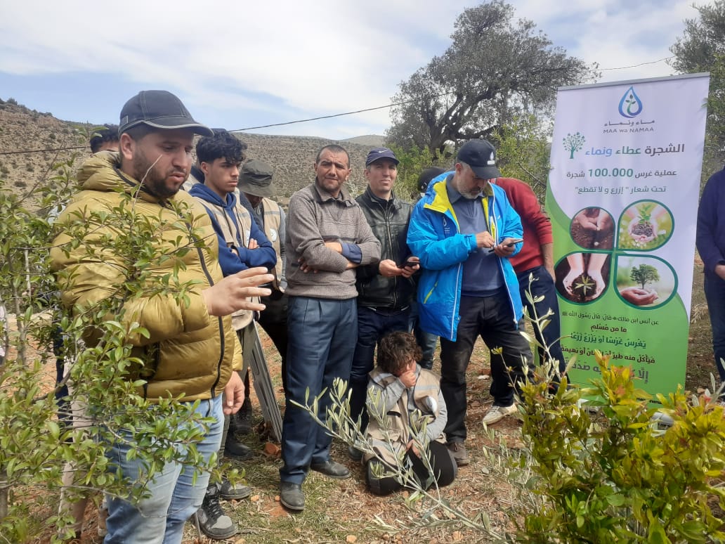 انطلاقة غرس 100 ألف شجرة ببولمان