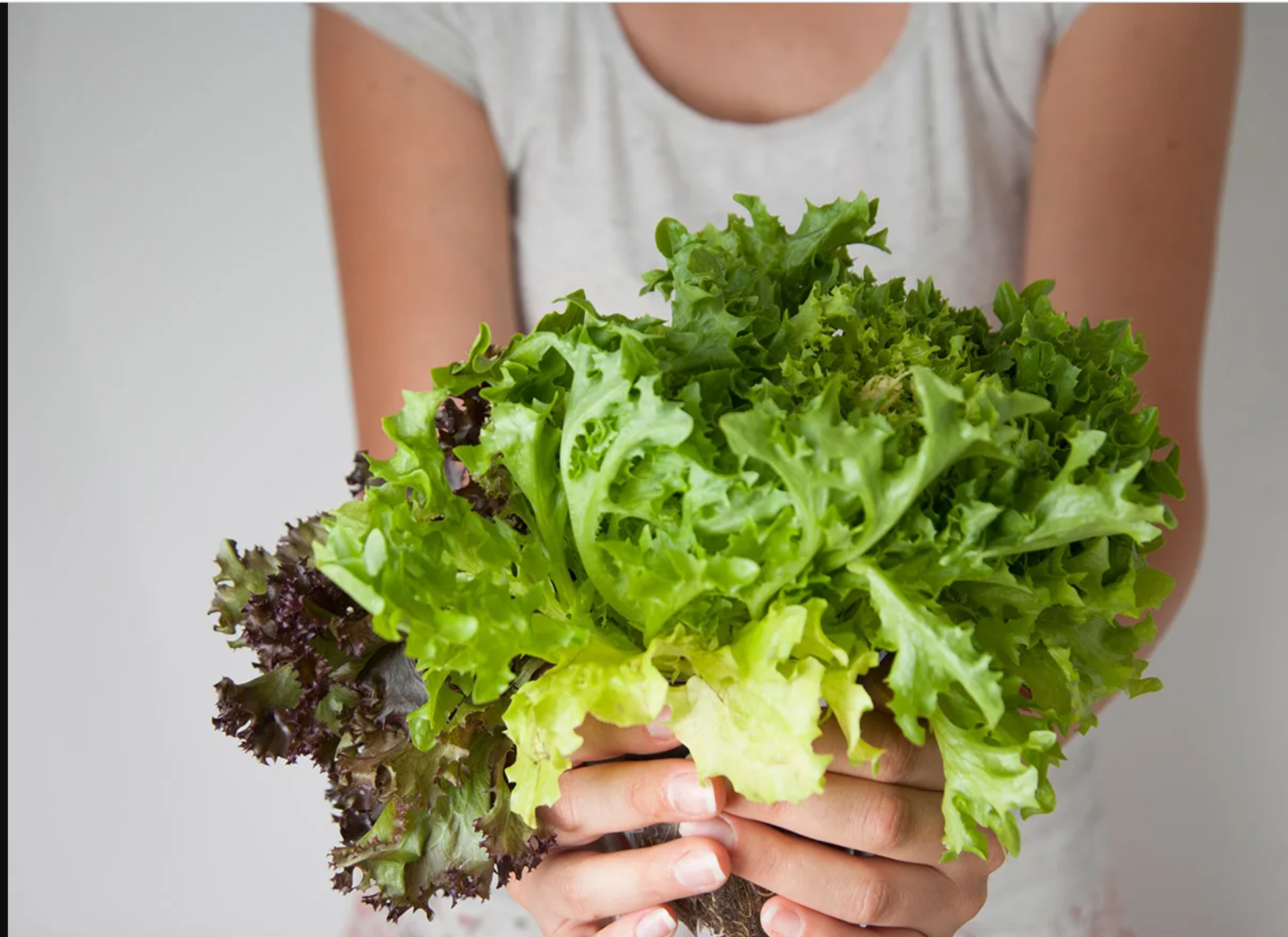 خبير تغذية يفصح عن كلمة السر لحماية الكتلة العظمية!