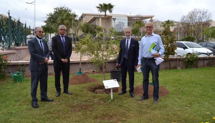 أكادير : إطلاق الدورة السادسة للمؤتمر الدولي للأركان