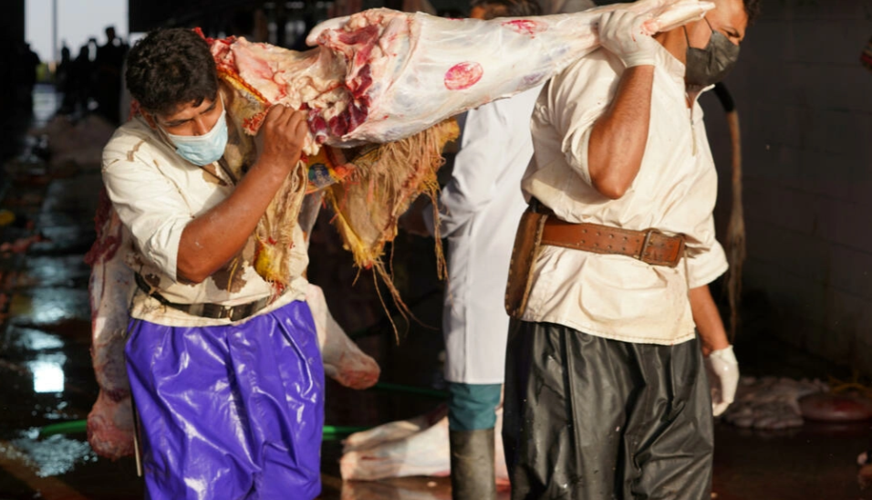 مستويات غير مسبوقة بإصابات الحمى النزفية بالعراق.. الأطباء يوضحون