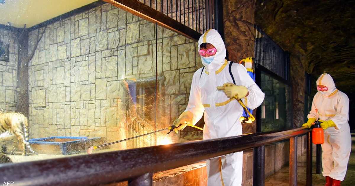 يونهاب: كوريا الشمالية تسجل أكثر من 200 ألف إصابة بـ”الحمى”