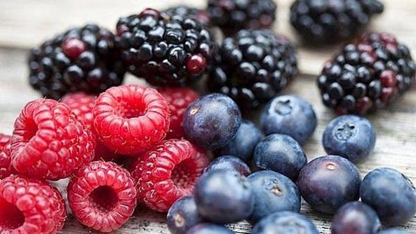 تناول التوت البري يوميًا يوفر دعمًا للذاكرة طوال العمر