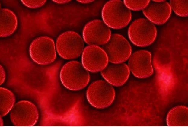 فوائد الرياضة في كبسولات؟ العلم يقترب من تحقيق الهدف