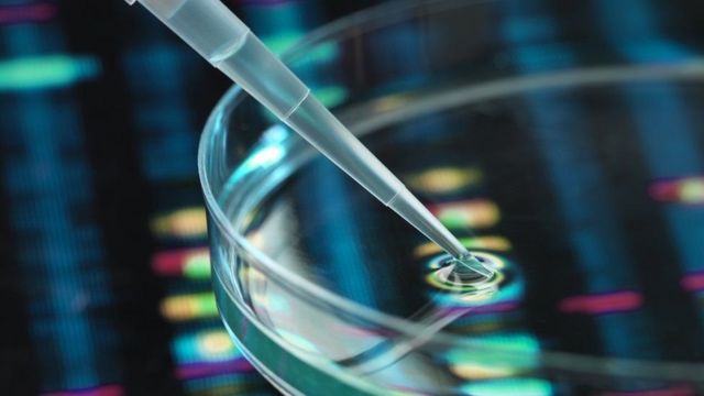 أمراض القلب: علاج جيني جديد يقضي على مخاطر الموت المفاجئ للشباب