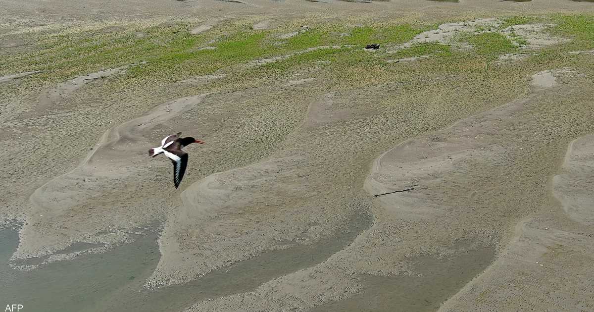 الجفاف يهدد نصف أراضي الاتحاد الأوروبي             