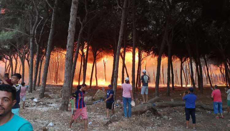 الحكومة تستعد للإعلان عن حزمة من الإجراءات لفائدة المتضررن من الحرائق