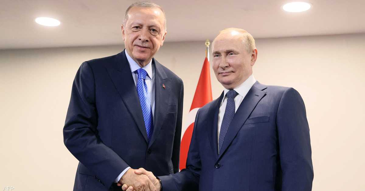 بوتن يؤكد تقدم مباحثات تصدير الحبوب.. ويشكر أردوغان