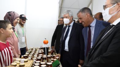 السيدة بنخضرة تبرز استراتيجية المغرب في مجال الطاقة في مؤتمر الحوض الرسوبي لغرب إفريقيا