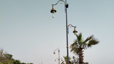 عطلة الأبوة تدخل حيز التنفيذ