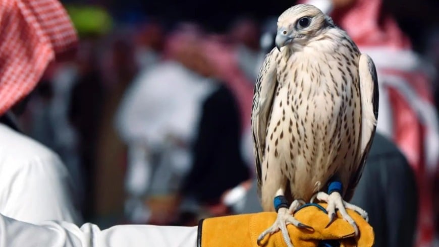 بسبب طائر حر.. سوري يخسر 250 مليون ليرة خلال دقائق